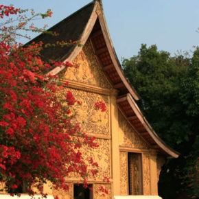 020 tempel in luang prabang