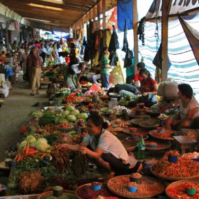 bueffel-markt-rantepao-sulawesi-fotos-023