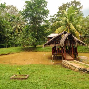 Udawalawe Pokuna Safari Eco Lodge Sri Lanka 12