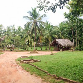 Udawalawe Pokuna Safari Eco Lodge Sri Lanka 13
