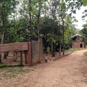 Udawalawe-Pokuna-Safari-Eco-Lodge-Sri-Lanka-2