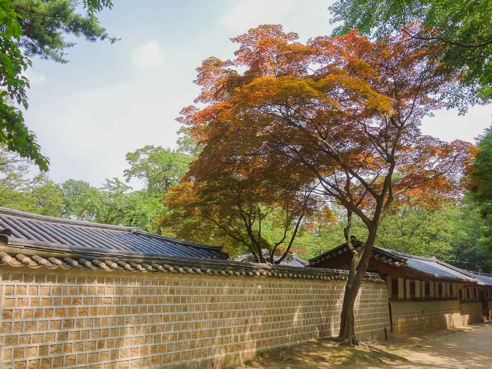 changdeokgung palace