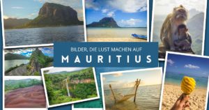 Bilder aus mauritius