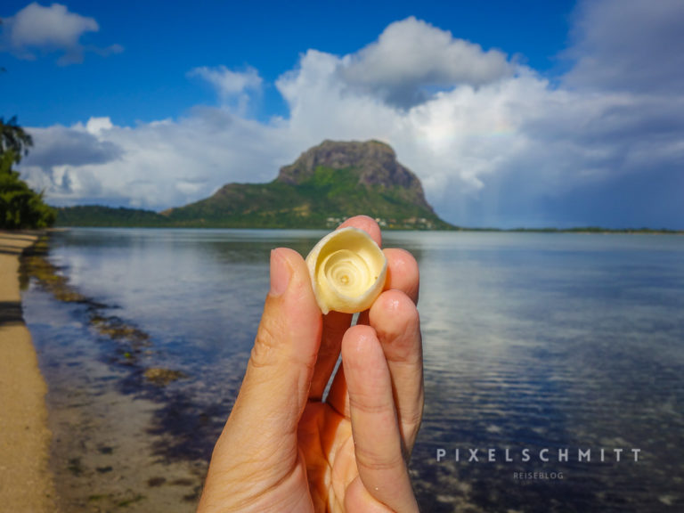 Den kompletten Urlaub in Mauritius kannst du mit Muschel-sammeln verbringen