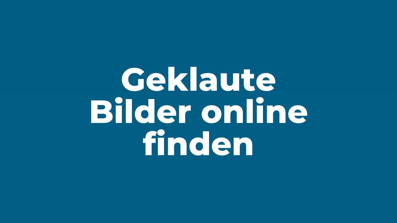 Geklaute Bilder im Internet finden